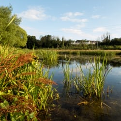 Tolka Valley Park - A year in the life of Tolka River Valley Park
