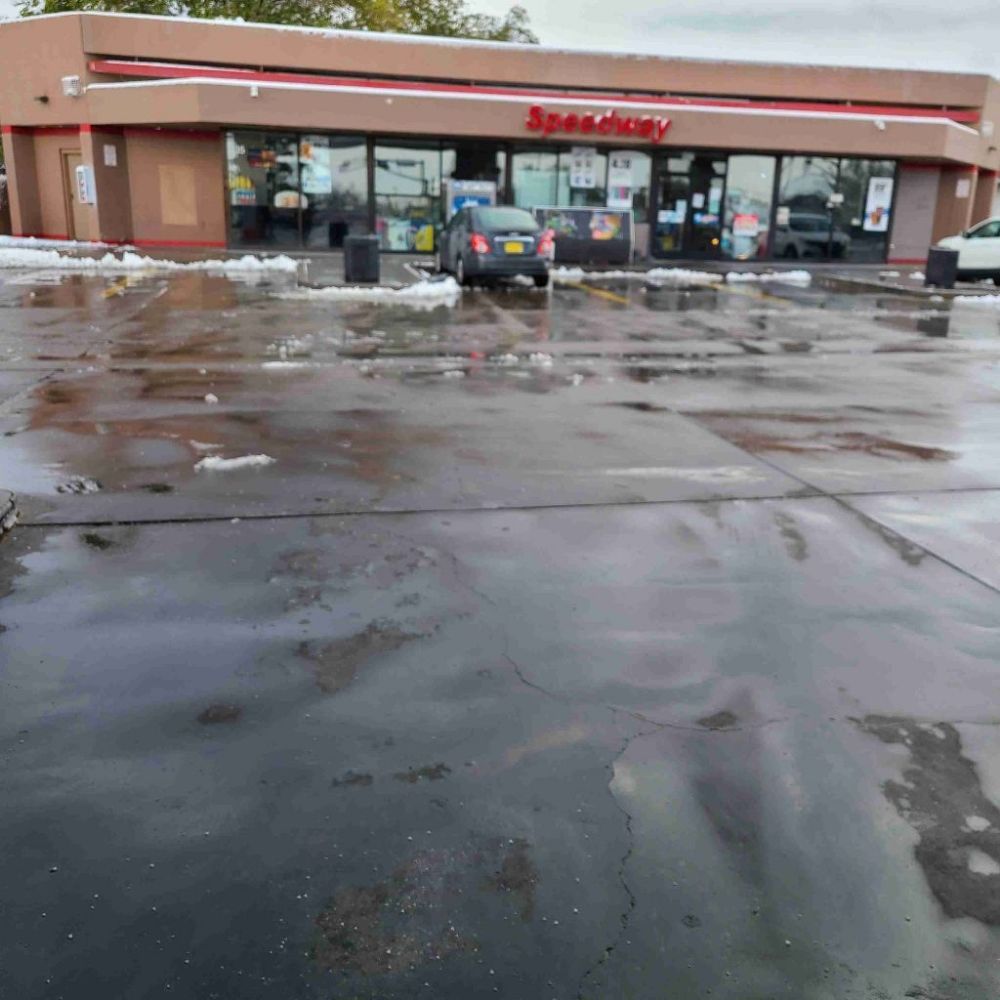 Tazz Landscape and Trash Removal - tree service in Albuquerque, NM