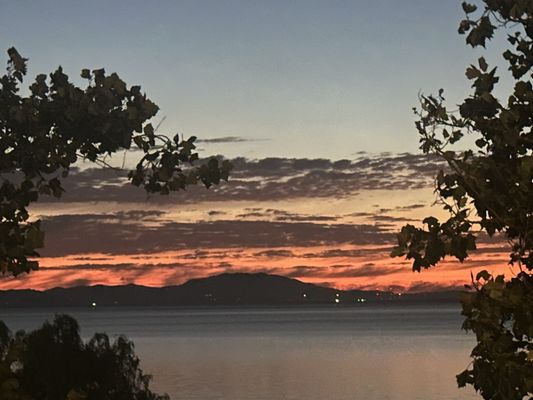 Leila by the Bay by null