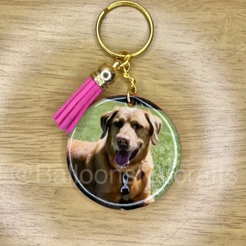 Balloons NV - A custom keychain to remember the furr babies that have passed - Balloon Services Near Me Balloons NV - A custom keychain to remember the furr babies that have passed - Balloon Services Near Me