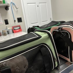 Topgun Veterinarian Service - Our first visit, all three cats in carriers