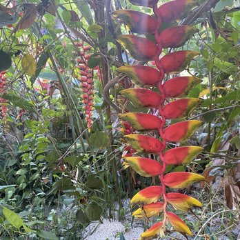 Lulu La Bruja - Ambiance - Hotels & Travel Near Me - Bacalar, ROO Lulu La Bruja - Ambiance - Hotels & Travel Near Me - Bacalar, ROO