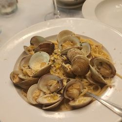 Portobello Cucina Italiana - Vongole