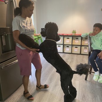 PetSmart - A pic of ace - Pet Training Near Me - Fayetteville, Georgia PetSmart - A pic of ace - Pet Training Near Me - Fayetteville, Georgia