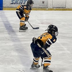 Ice Den Chandler
