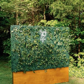 Tickled Orange Photo Booth - Picture of our photobooth backdrop! - Photo Booth Rentals Near Me Tickled Orange Photo Booth - Picture of our photobooth backdrop! - Photo Booth Rentals Near Me