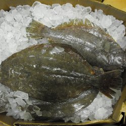 Lucky Fish Seafood - Flounder