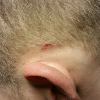 Ed's Barber Shop - Cut from razor - Barbers Near Me - Providence, Rhode Island