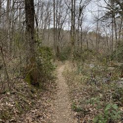 Todd Creek Falls - The trail becomes more beautiful past the falls and leads to a large lake