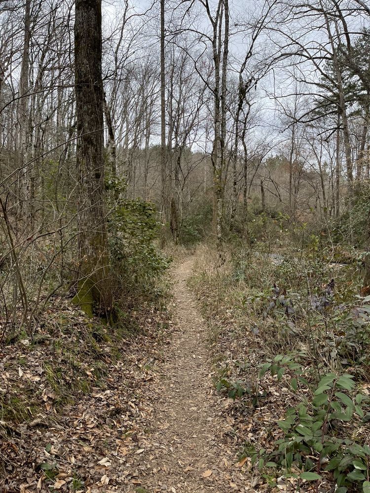 Todd Creek Falls Image