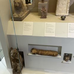Kelsey Museum of Archaeology