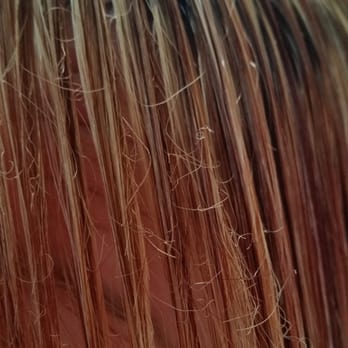 Diva Lounge Salon - Immediate after 1st wash, hair still wet. It is broken to 1" at the root in the front center of my head. - Hair Salons Near Me - Oak Harbor, Washington