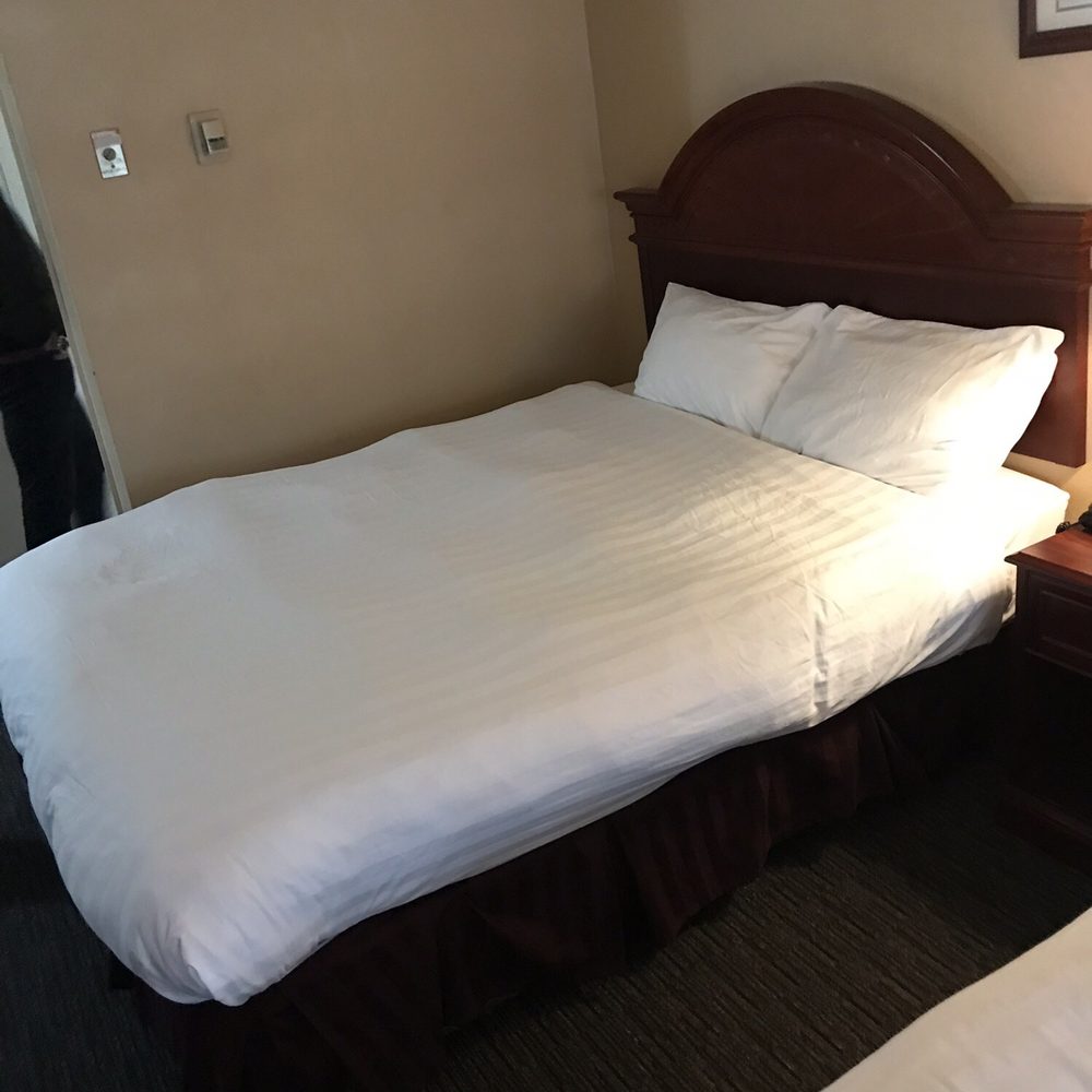 Revelstoke Lodge - Bed 2 - Hotels Near Me - Revelstoke, British Columbia Revelstoke Lodge - Bed 2 - Hotels Near Me - Revelstoke, British Columbia