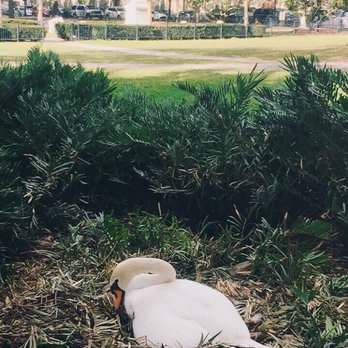 Lake Eola Park - Parks Near Me - Orlando, Florida