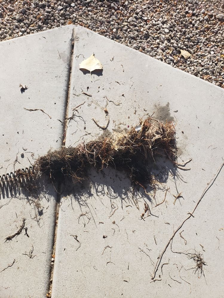 Slide of Rubio’s Plumbing