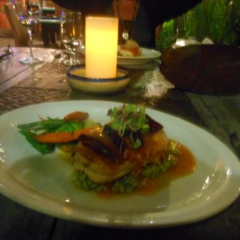 Peacocks Restaurant - My Entree Roasted Chicken with Mango Sauce - Bars Near Me - Cabo San Lucas, BCS Peacocks Restaurant - My Entree Roasted Chicken with Mango Sauce - Bars Near Me - Cabo San Lucas, BCS