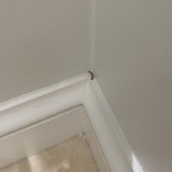 Rosemary Beach® - Bug in bathroom - Vacation Rentals Near Me - Rosemary Beach, Florida Rosemary Beach® - Bug in bathroom - Vacation Rentals Near Me - Rosemary Beach, Florida