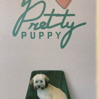 The Pretty Puppy - Before and after fur baby - Pet Groomers Near Me - Ontario, California