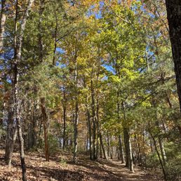 Fall leaves are beautiful on the trails! Fall leaves are beautiful on the trails!