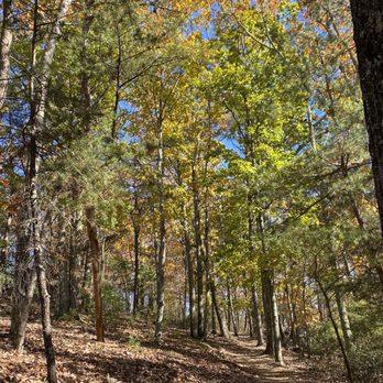 Sawnee Mountain Preserve - Fall leaves are beautiful on the trails! - Parks Near Me - Cumming, Georgia Sawnee Mountain Preserve - Fall leaves are beautiful on the trails! - Parks Near Me - Cumming, Georgia