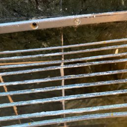 This is how they received us. This is the outside shower. Was not sanitary. They never cleaned it .