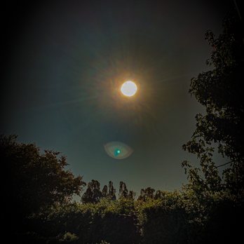 Ruben S Ayala Park - Parks Near Me - Chino, California