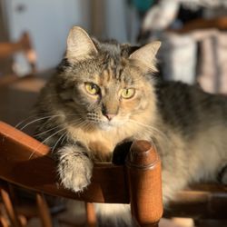 No Worries Pet Service - Good morning sunshine- No Worries Pet Service