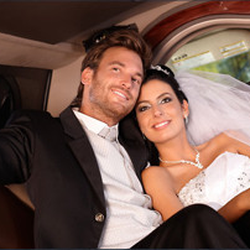 Donna Hoehne Travel Agency