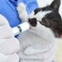 Photo of Healthy Pets of Wedgewood