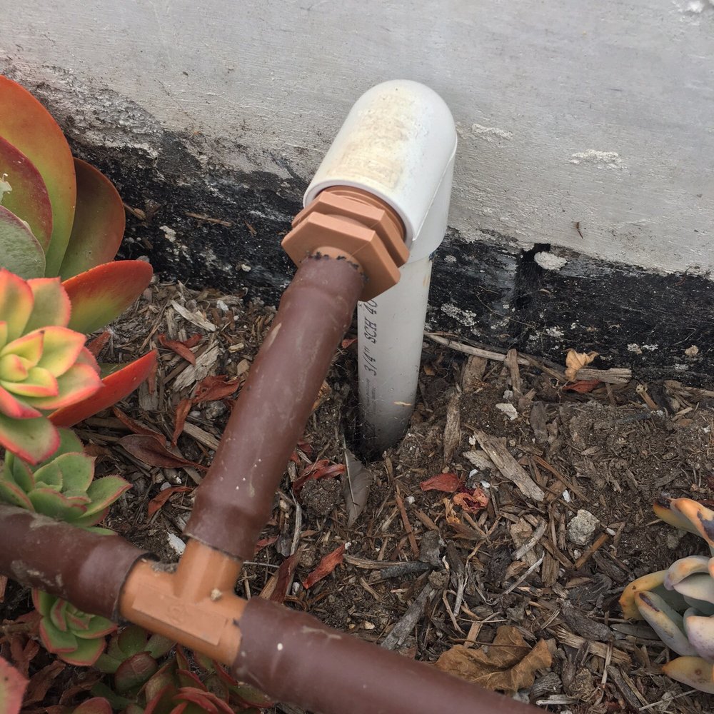 Promised Path Landscaping - Succulent planter wall sunk in after a year. - Irrigation Near Me - Chula Vista, California
