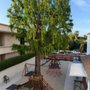 Photo of Southern California Montessori School Inc