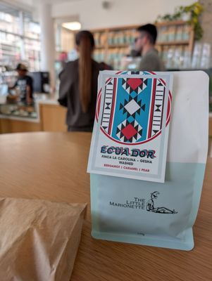 The Little Marionette by null