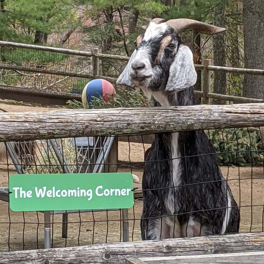 UNITY FARM SANCTUARY Updated October 2024 17 Unity Ln, Sherborn