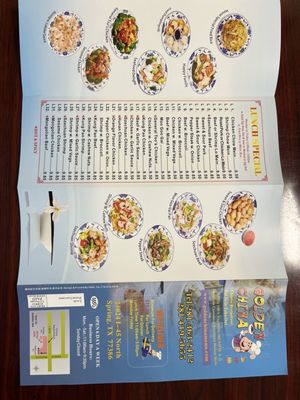 Menu photo 2 Golden China Spring, TX