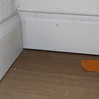 Express Flooring - Repairs needed on installation job. - Flooring Near Me Express Flooring - Repairs needed on installation job. - Flooring Near Me