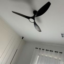 Ceiling fan