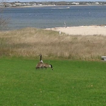 John F. Kennedy Memorial - Canadian Geese at the Memorial - Landmarks & Historical Buildings Near Me - Hyannis, Massachusetts