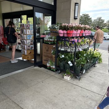 Trader Joe's - Outdoor flowers - Grocery Near Me - Birmingham, Alabama Trader Joe's - Outdoor flowers - Grocery Near Me - Birmingham, Alabama
