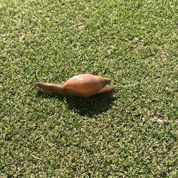 Ironclad Golf - Venues & Event Spaces Near Me - Hampstead, North Carolina