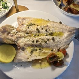 Sea Bass Sea Bass