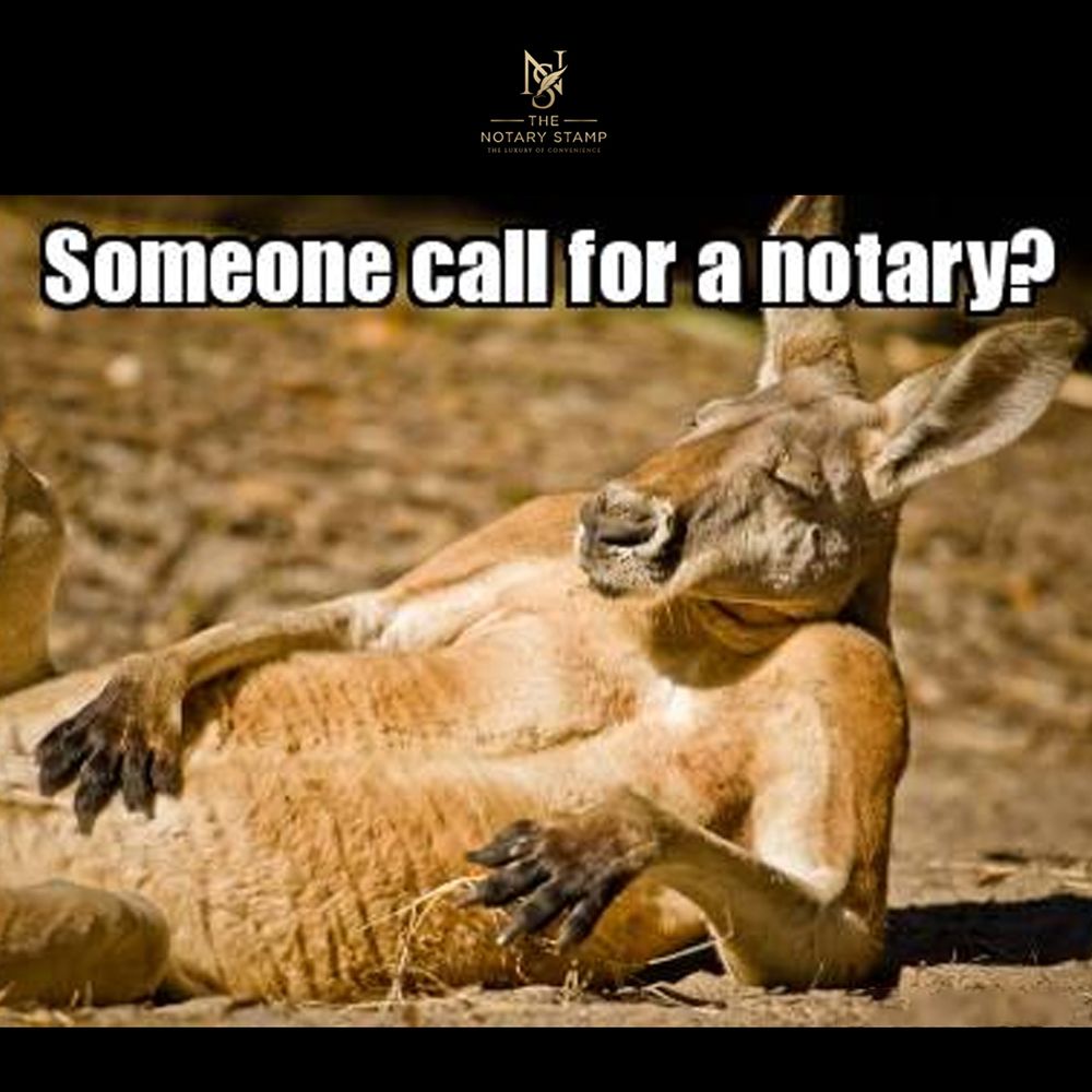 THE NOTARY STAMP Request a Quote 57 Photos Camden Wyoming