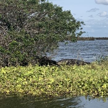 Florida Airboat Excursions - Boating Near Me - Fellsmere, Florida