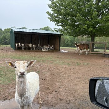 Nova Wild - Safari on a rainy day!! - Petting Zoos Near Me - Vienna, Virginia Nova Wild - Safari on a rainy day!! - Petting Zoos Near Me - Vienna, Virginia