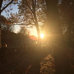 Rudolph-Wilde-Park - Schöne Herbstansichten.