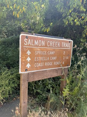 Salmon Creek Falls by null