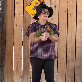 Rooster Cogburn Ostrich Ranch - The Lorikeet Experience - Petting Zoos Near Me - Picacho, Arizona