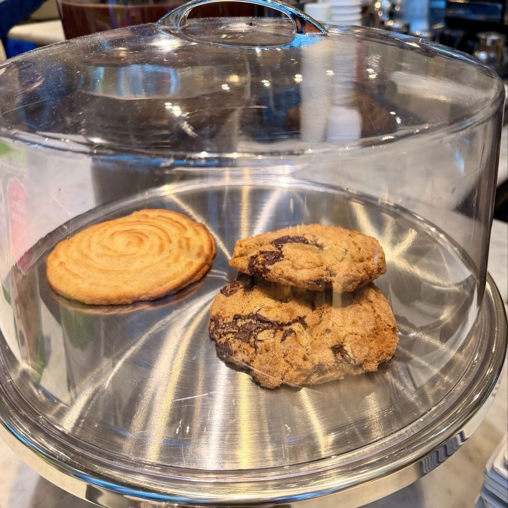 Pitango Gelato & Coffee - Ice Cream & Frozen Yogurt Near Me - Reston, Virginia Pitango Gelato & Coffee - Ice Cream & Frozen Yogurt Near Me - Reston, Virginia