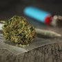 Photo of Red Bridge Farm Medical Collective Delivery Service
