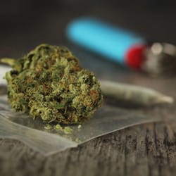 Red Bridge Farm Medical Collective Delivery Service - Fire OG