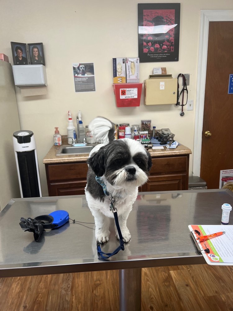 ABERDEEN VETERINARY CLINIC Updated September 2024 10 Reviews 728